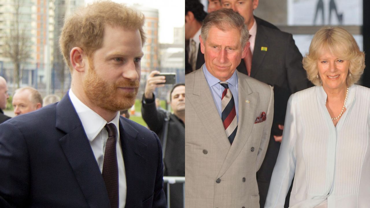 Príncipes Harry e William teriam pedido para Charles não se casar