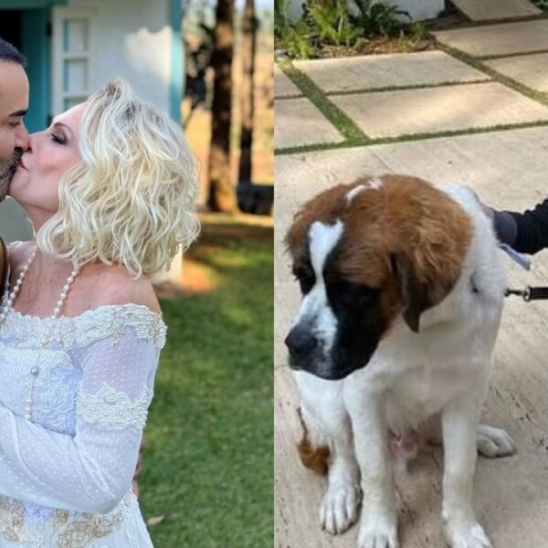 Após renovação de votos, Ana Maria Braga recebe notícia devastadora