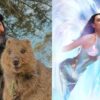 Katy Perry e Orlando Bloom confirmam separação após 8 anos juntos