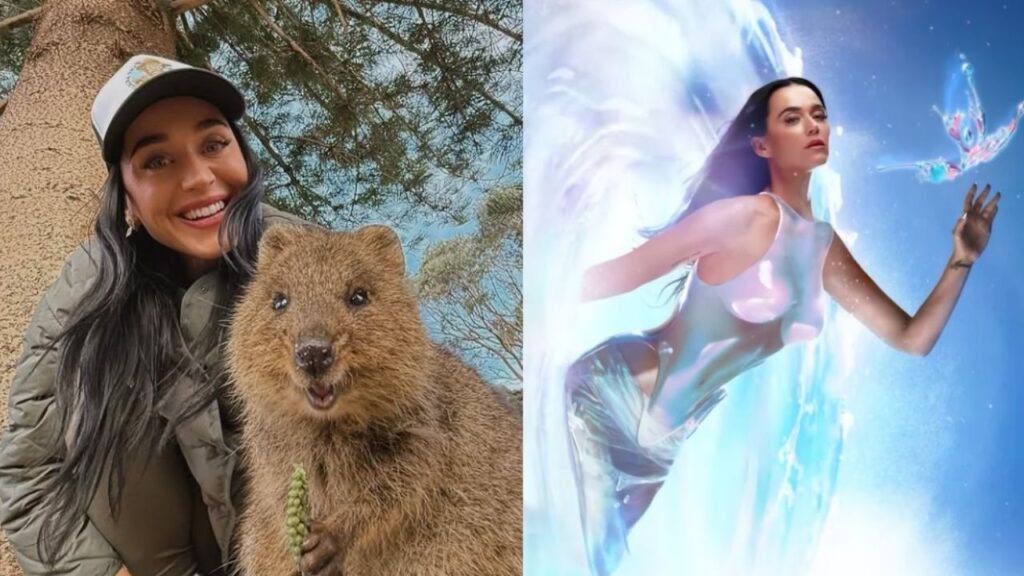 Katy Perry e Orlando Bloom confirmam separação após 8 anos juntos