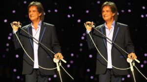 Roberto Carlos recebe famosos em show de São Paulo